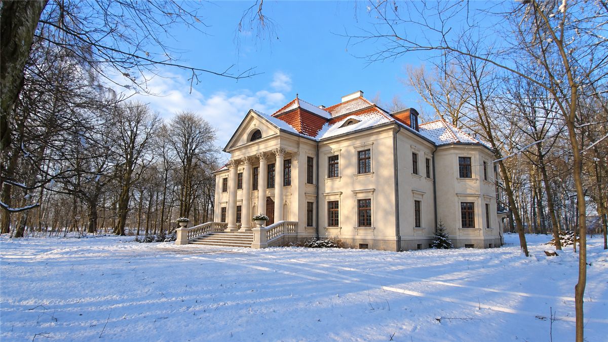 Koncepcyjna wizualizacja Pałacu Walewskich po renowacji, z betonowymi tralkami i dwiema donicami przy schodach